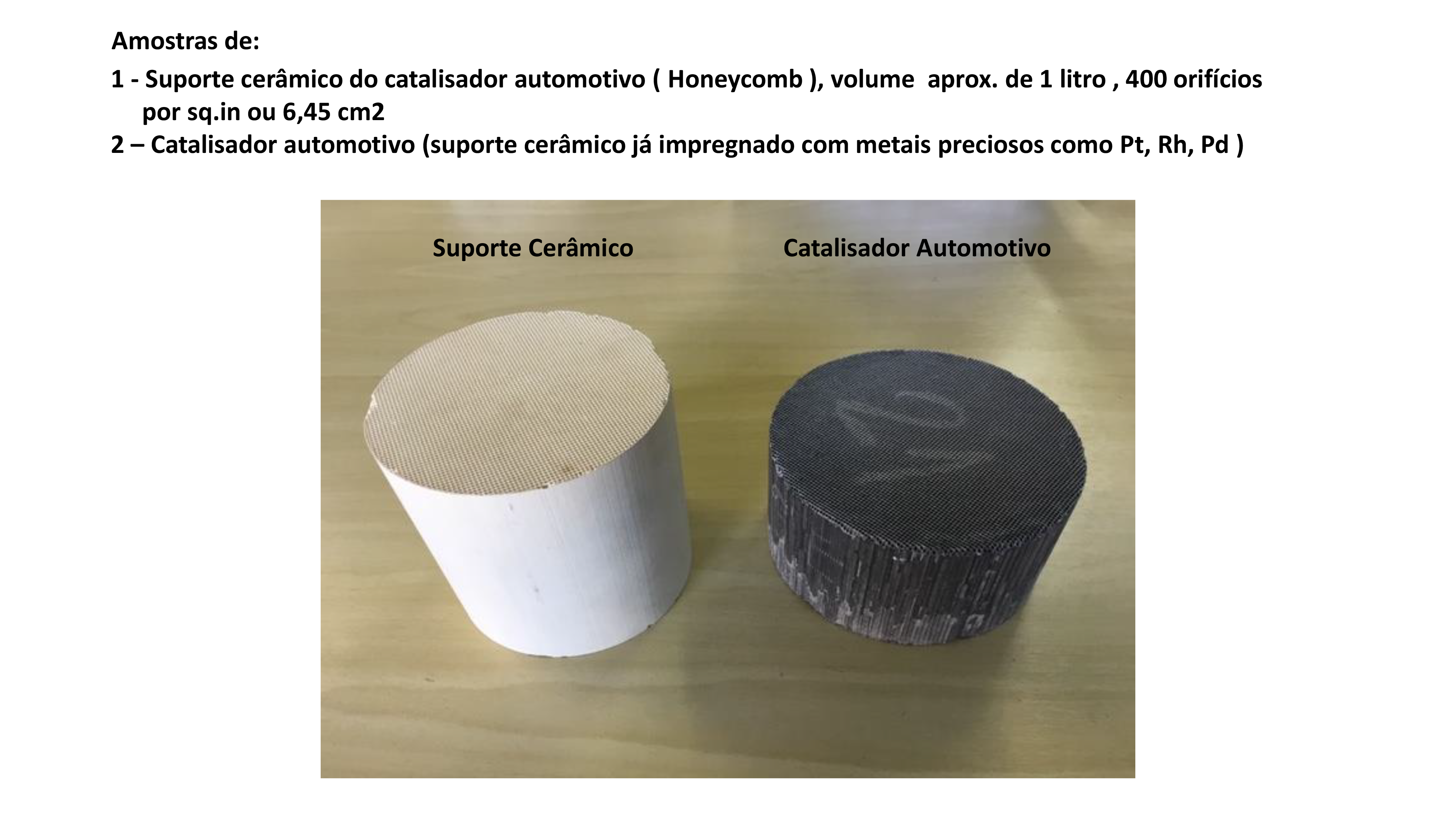 78.c3.1.Suporte e Catal. autom.Foto